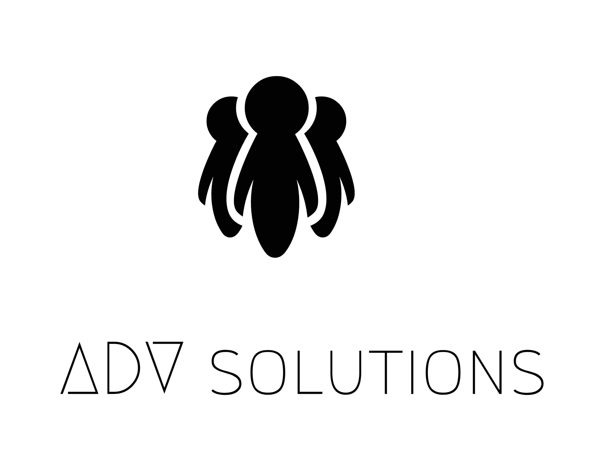 Logo ADV Solutions